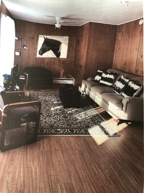 TV, video library