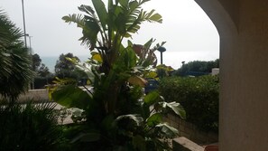 A view of a garden with large leafy plants and a blue fence. - Panoramic Villetta on the Sicilian sea (Sciacca)