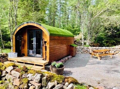 Luxury Glamping Pod surrounded by nature.