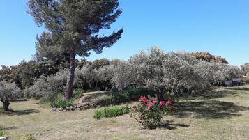 Terrein van de accommodatie