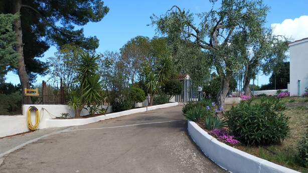 A paved driveway leading to a gated entrance with a white wall and a yellow hose coiled on the left.