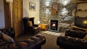 TV, fireplace, DVD player, books