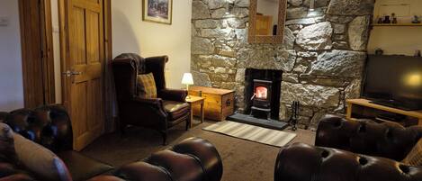 TV, caminetto, lettore DVD, libri