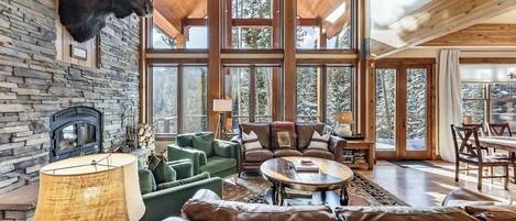 TV, fireplace, video games, offices