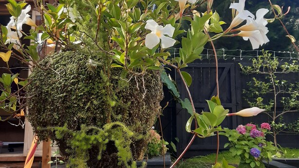 Bungalow, 1 Bedroom, Smoking, Balcony | Garden - Harbour View Cottage Boutique B&b (Auckland)