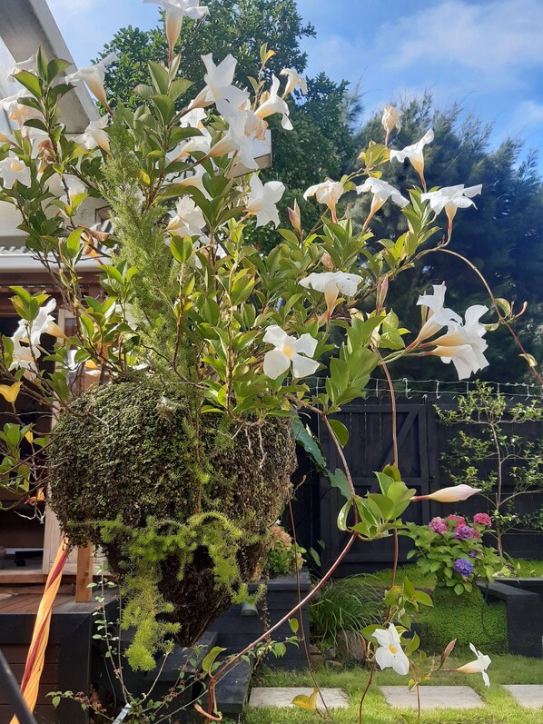 Bungalow, 1 Bedroom, Smoking, Balcony | Garden - Harbour View Cottage Boutique B&b (Auckland)