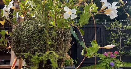 Harbour View Cottage Boutique B&b