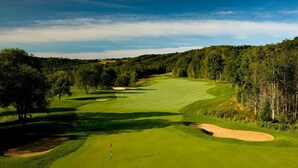 A golf course with a flagstick, sand bunkers, and a forested backdrop.