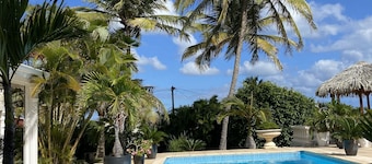 4-bedroom villa with pool and spa