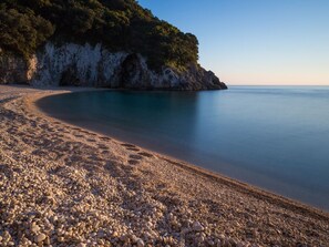 Playa en los alrededores y camastros 
