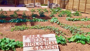 Ein Garten mit einem Schild, das 'Biologischer Garten' sagt, und einem Holzzaun.