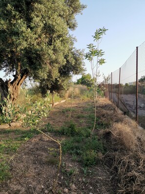 Terrein van de accommodatie