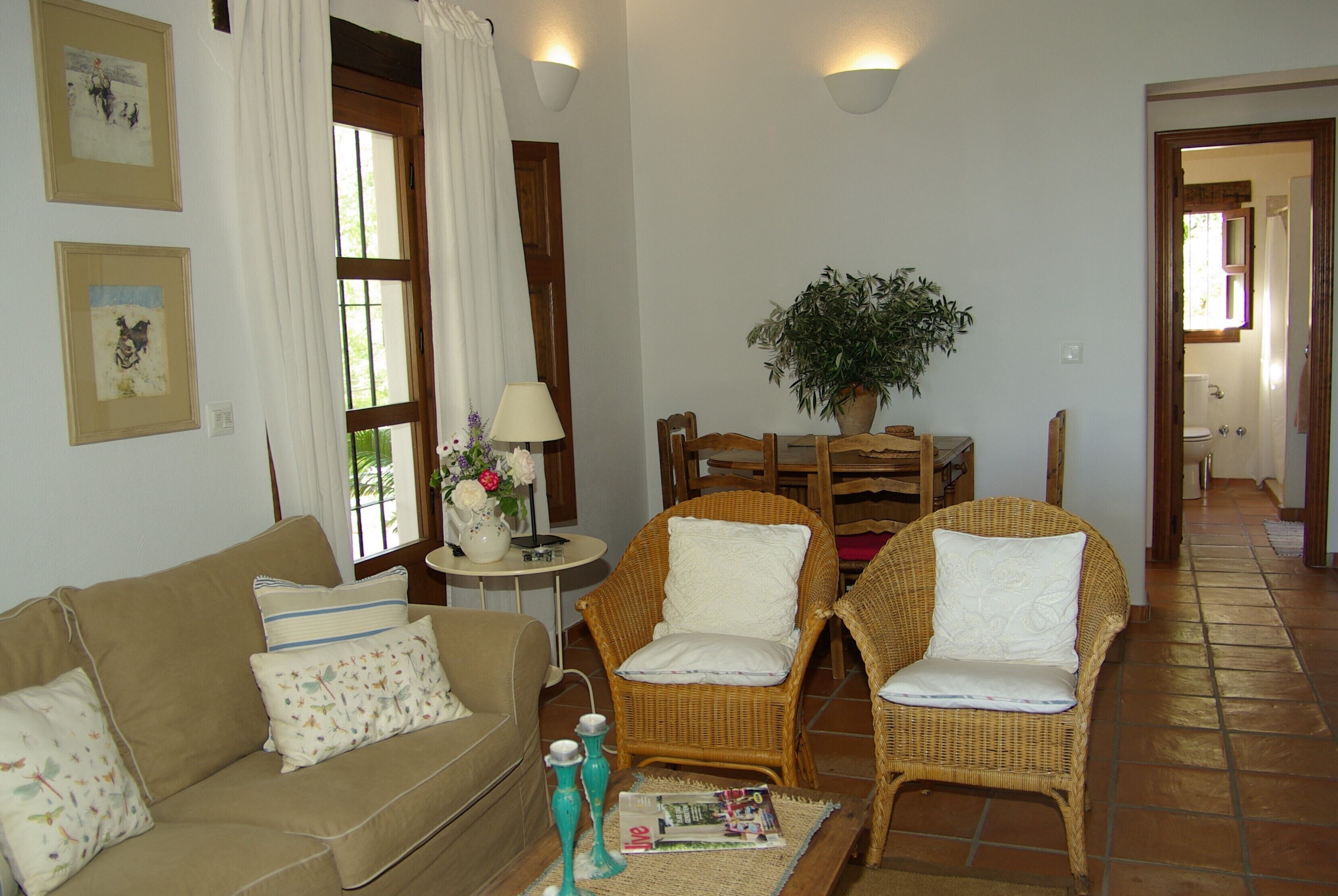 Télévision, cheminée, lecteur de DVD, livres