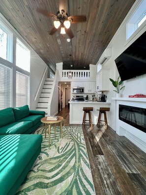 Smart TV, fireplace, books