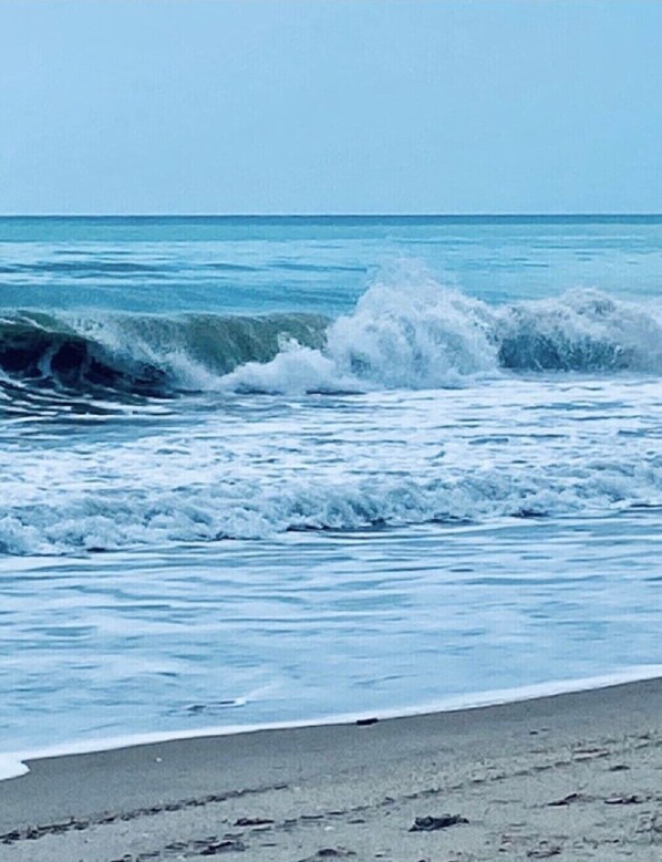 Sun-loungers, beach towels