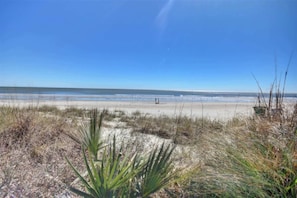 Beach - Oceanfront Studio,Indoor Pools,Hot Tubs, Brand New (Myrtle Beach)