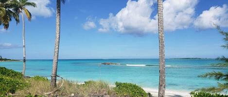 Playa en los alrededores