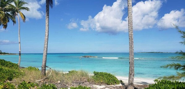 Playa en los alrededores 
