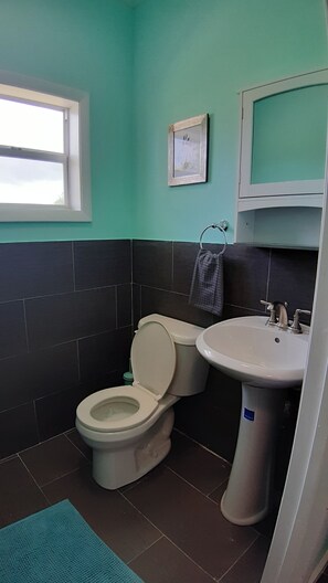 A bathroom with a toilet, sink, and a window.