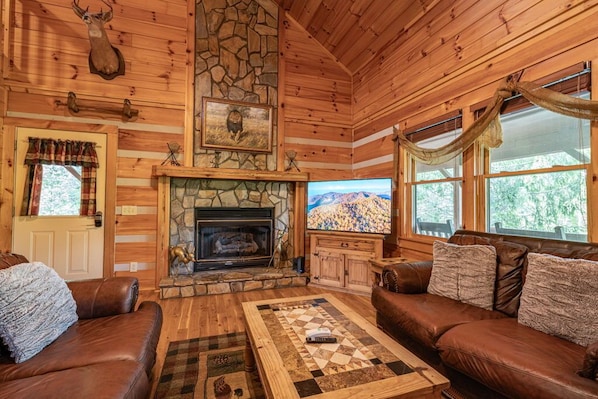 Smart TV, fireplace