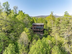 Exterior - Lions Den- Luxury High Country Mountain Escape! (Vilas)