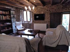 TV, fireplace, books