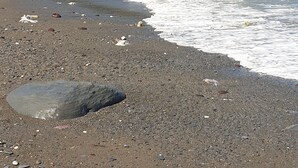 A beach with rocky shore, clear water, and greenery in the background.