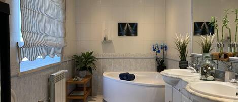 Combined shower/bathtub, jetted bath, hair dryer, bidet