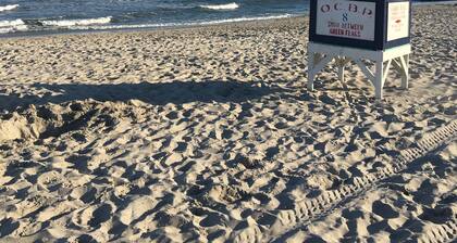 Beach & Boardwalk Block!!!