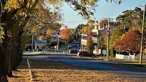 Une rue résidentielle bordée d’arbres et de maisons, avec une chaussée dégagée et des voitures garées.