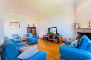 TV, fireplace - Quinta da Mesquinhata (Lamego)