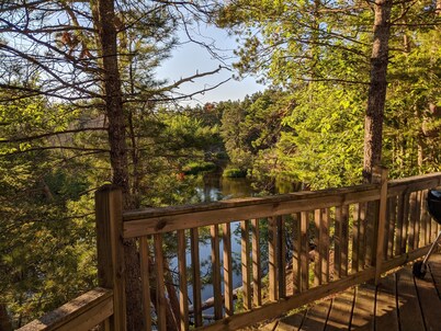 Treehouse on the river.