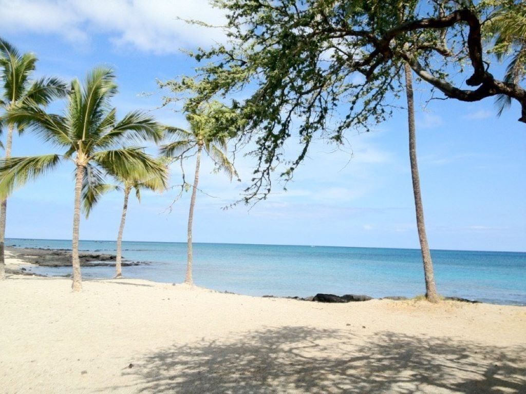 Nær stranden og strandhåndklær
