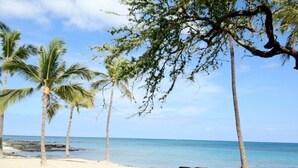 Ein Strand mit Palmen und blauem Himmel.
