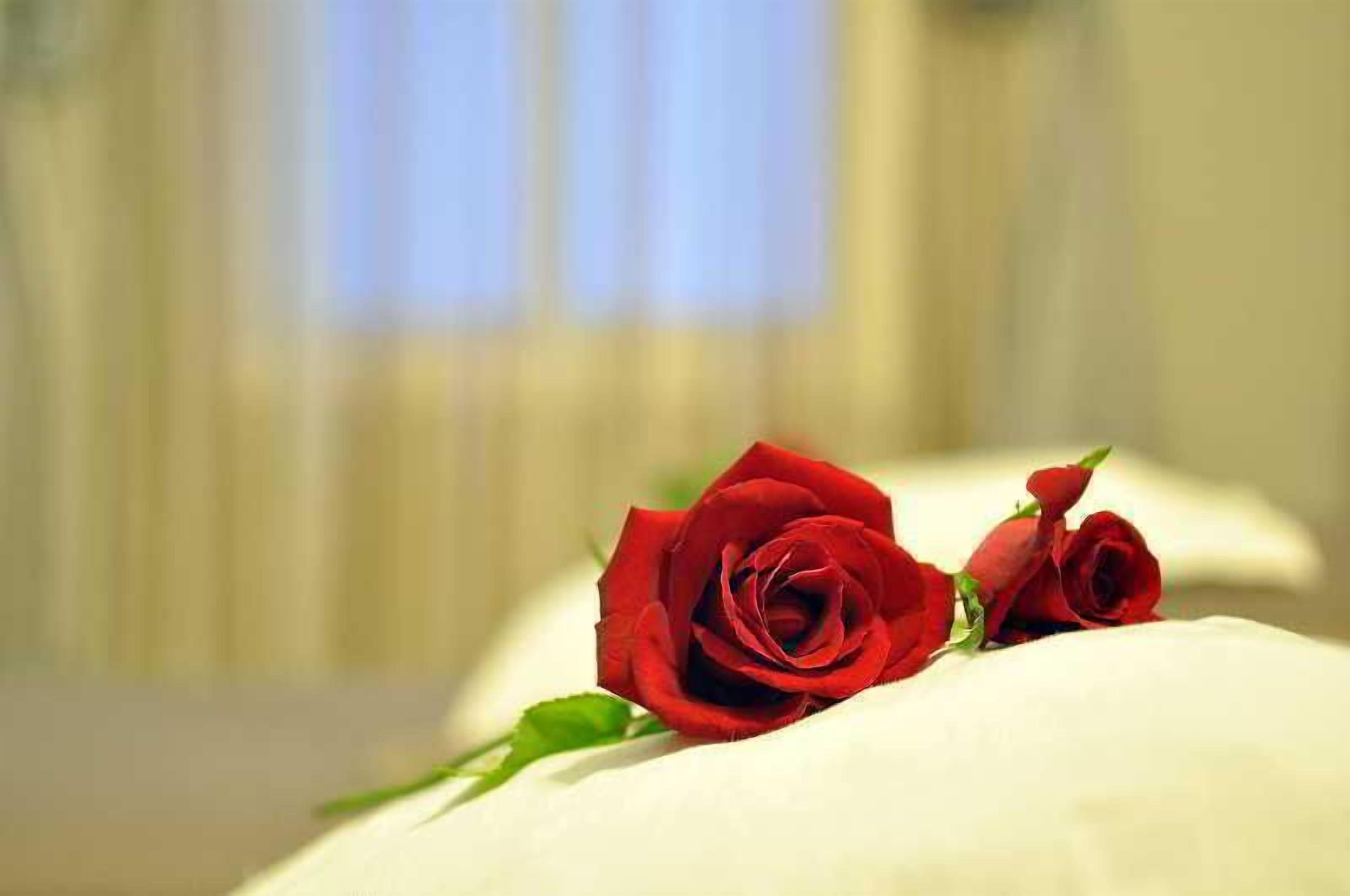 Foto - Hôtel Olympic