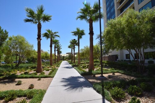 Luxury one bedroom with full kitchen + amenities .