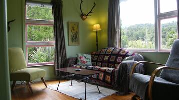 TV, fireplace, DVD player, books