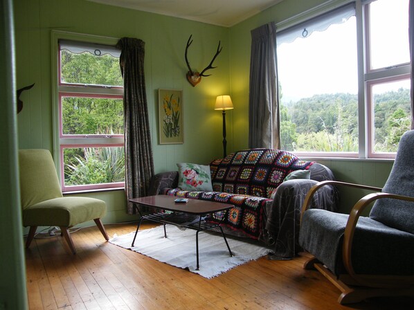 TV, fireplace, DVD player, books