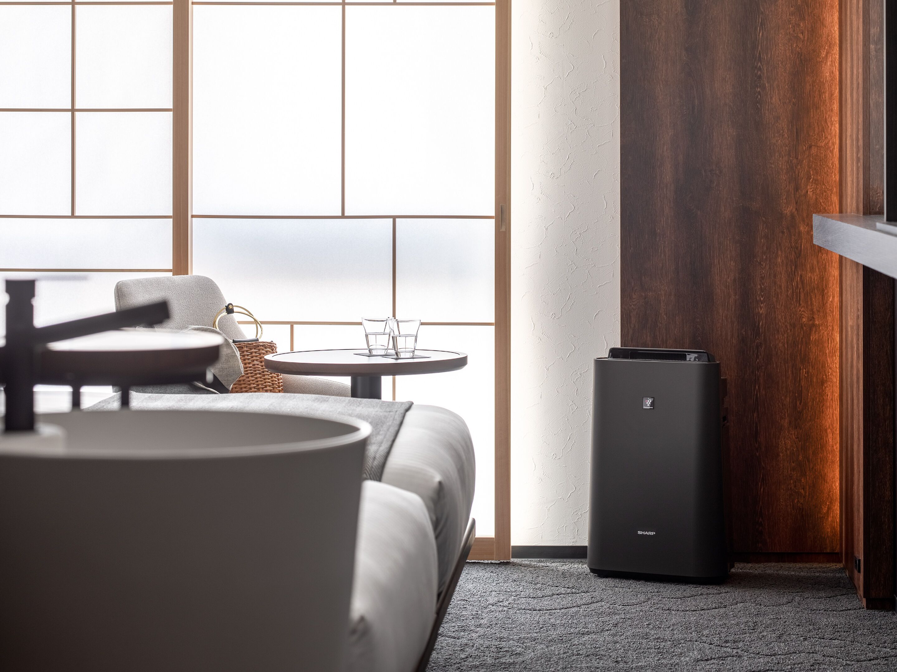 Couette en duvet d'oie, coffres-forts dans les chambres, Wi-Fi gratuit