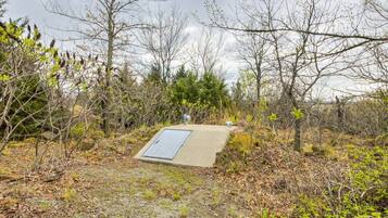 Een betonnen constructie met een metalen deur, omringd door dichte struiken en bomen.