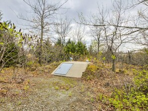 A concrete structure with a metal door, surrounded by dense shrubbery and trees.
