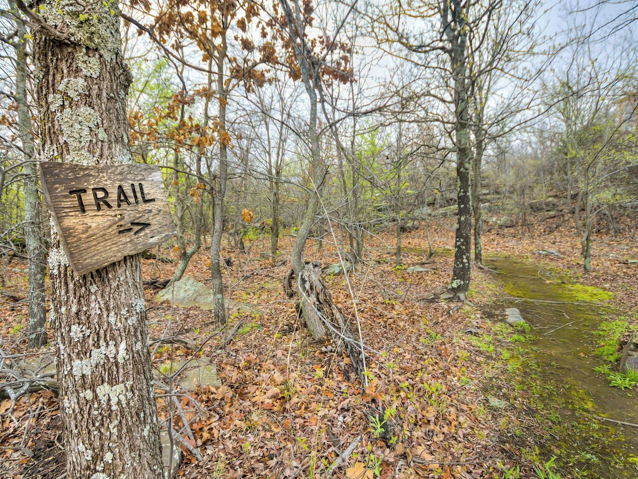 A wooden trail sign in a forested area with a path leading through the woods.