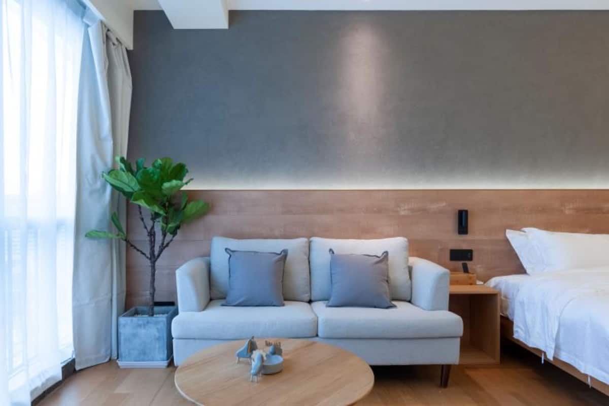 Une chambre d’hôtel moderne avec un canapé, un lit, une petite table et une plante.