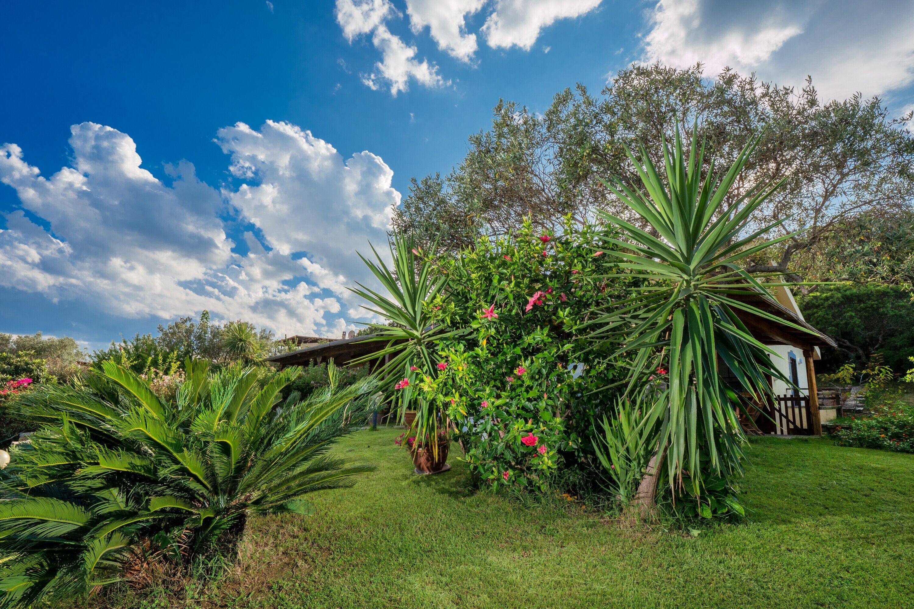 Áreas de la propiedad