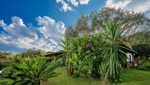 Ein Garten mit verschiedenen Pflanzen und einer Holzkonstruktion.