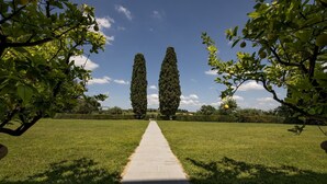 Un sendero conduce a dos árboles altos y delgados en un área verde bien cuidada.
