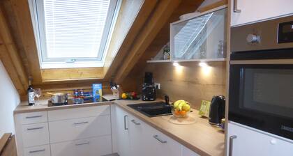 Large 1-room apartment "Hochvogel" with optional hotel service