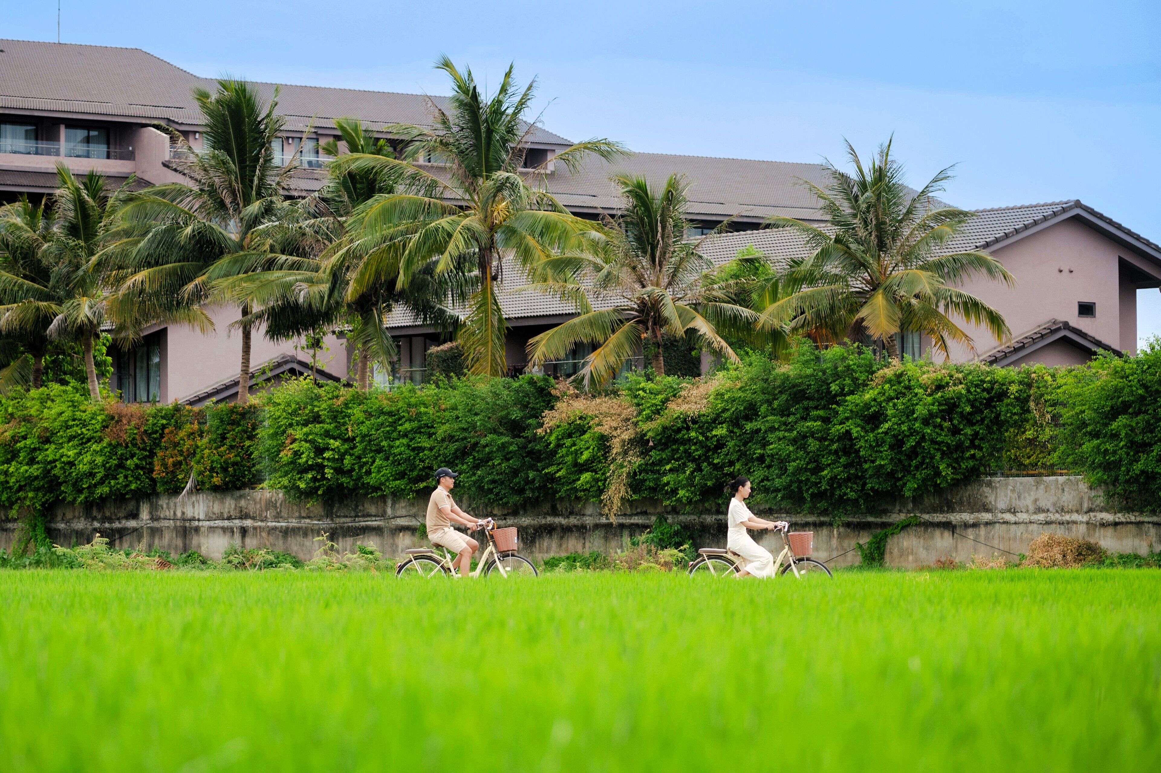 Quang cảnh nhìn từ nơi lưu trú