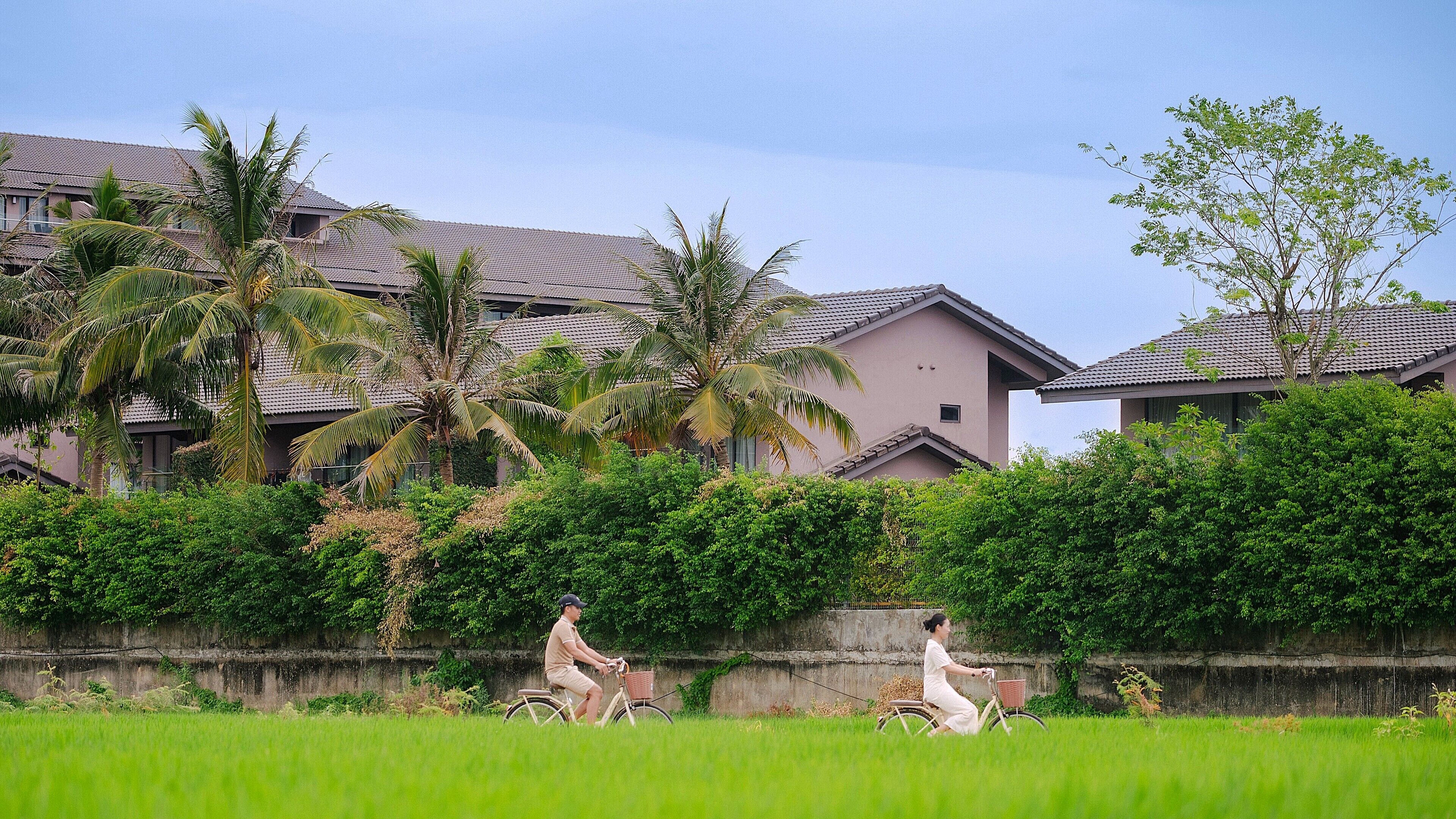 A residential area with houses, a concrete wall, and a green field.