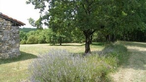 A stone building with a rustic roof, surrounded by a grassy field and a tree with purple flowers. - Individual countryside house in a small village (Cercles)